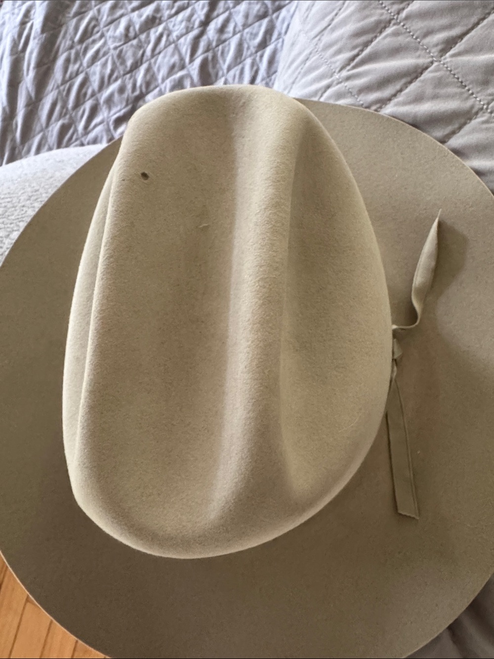 Vintage Stetson Forest Ranger Hat (rare) - Picture 2 of 13